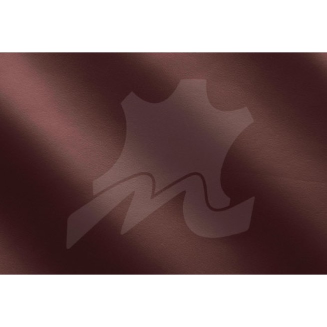 Aligo Group фото